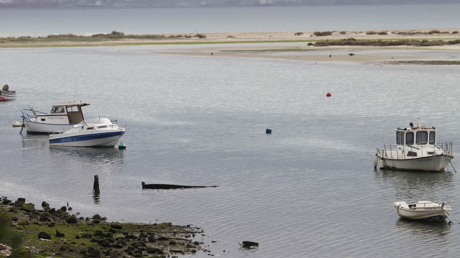 Marismas del Río Palmones, Los Barrios