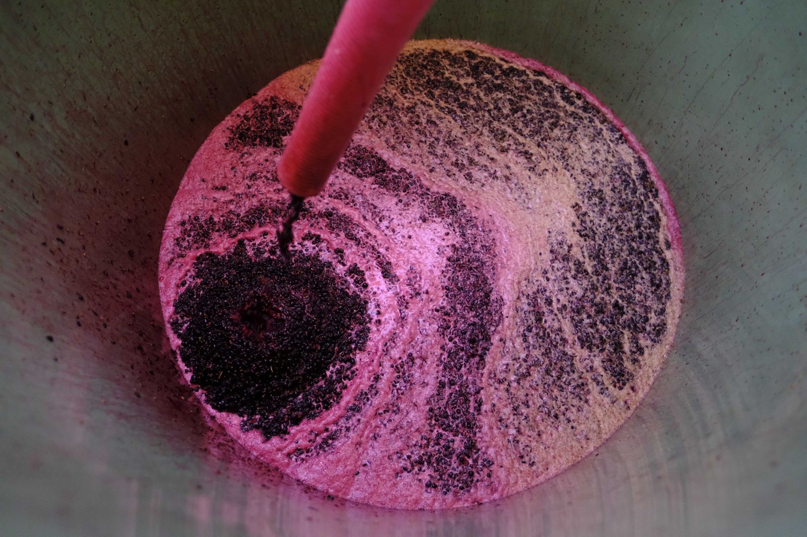 Vendimia en la Serranía de Ronda, en fotos