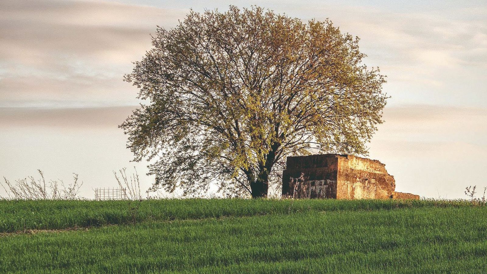 Bonito paisaje en el entorno del municipio.