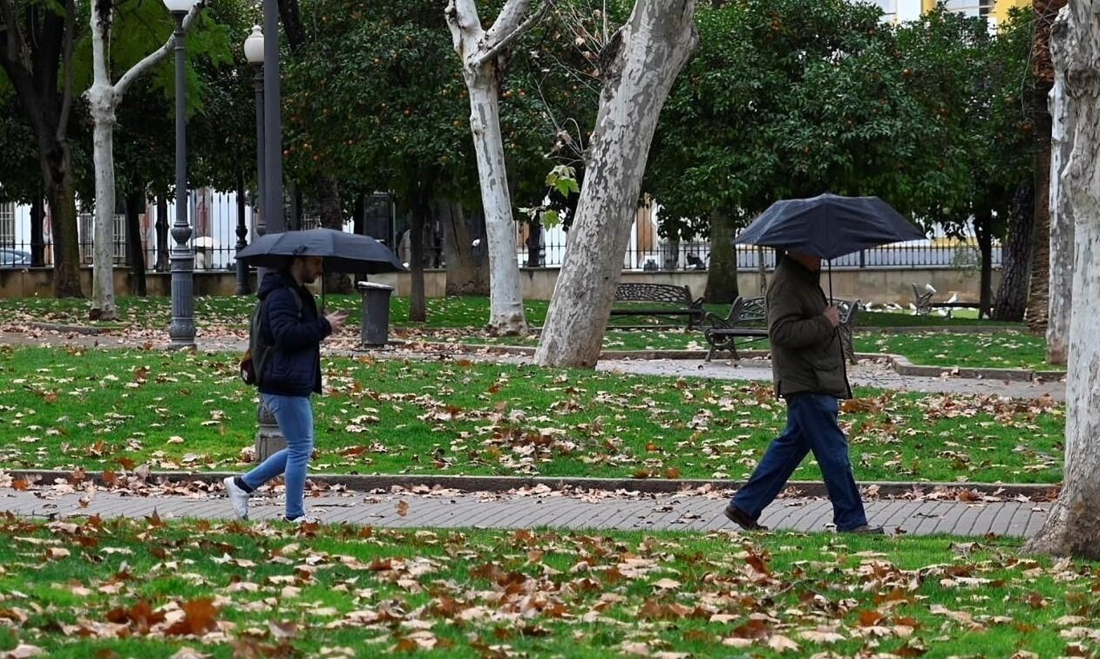 El temporal de viento y lluvia en Córdoba, en imágenes