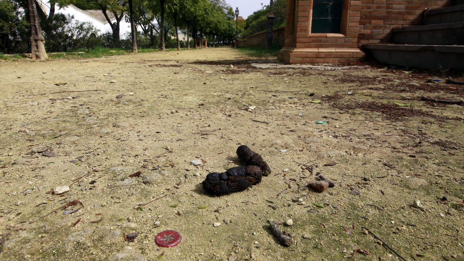 Abandono en la Alameda Vieja