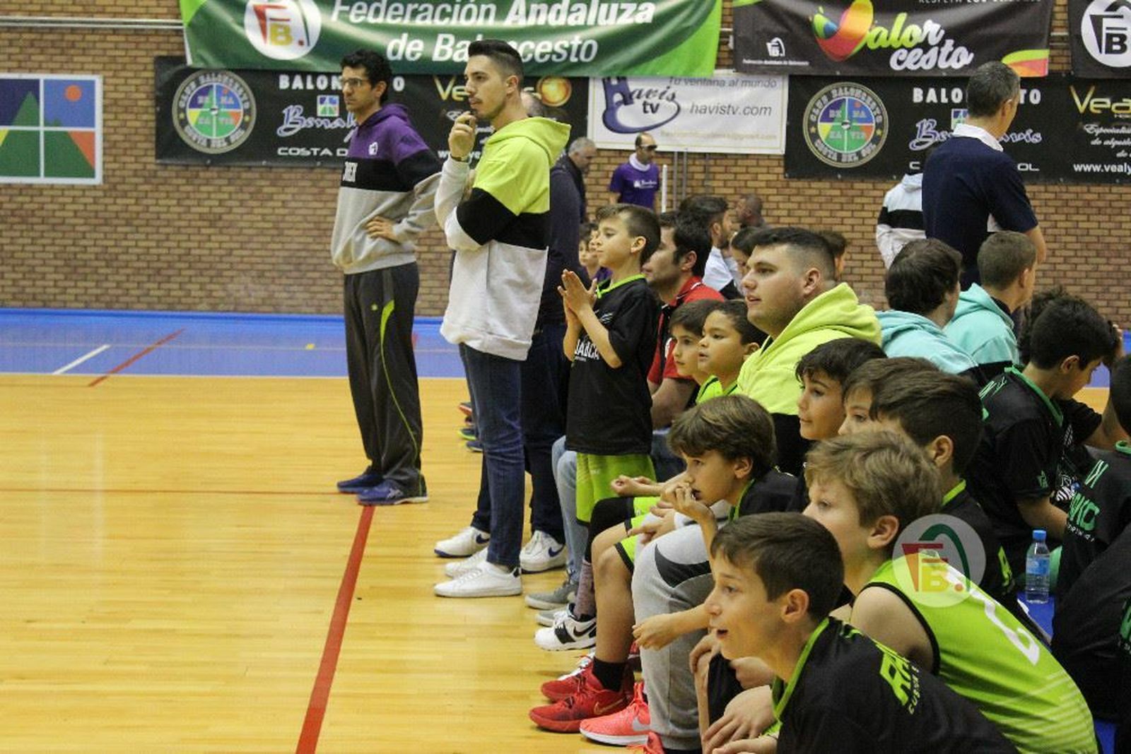 La V Fiesta Preminibásket en Benahavís, en fotos.