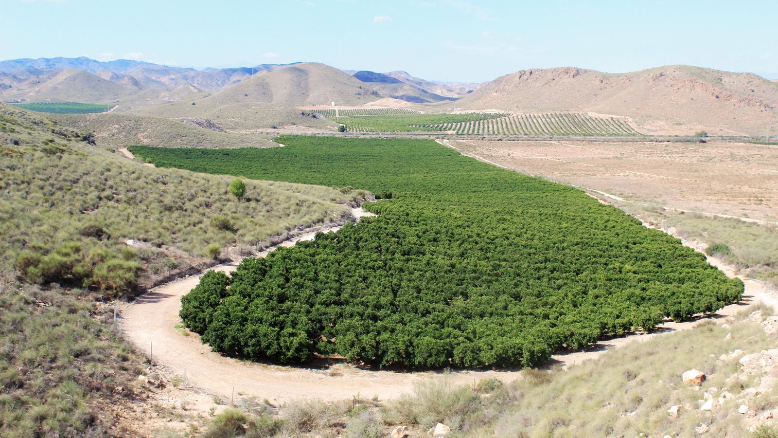 Vista panorámica de la Finca Ballabona, que tiene una extensión de 180 hectáreas.