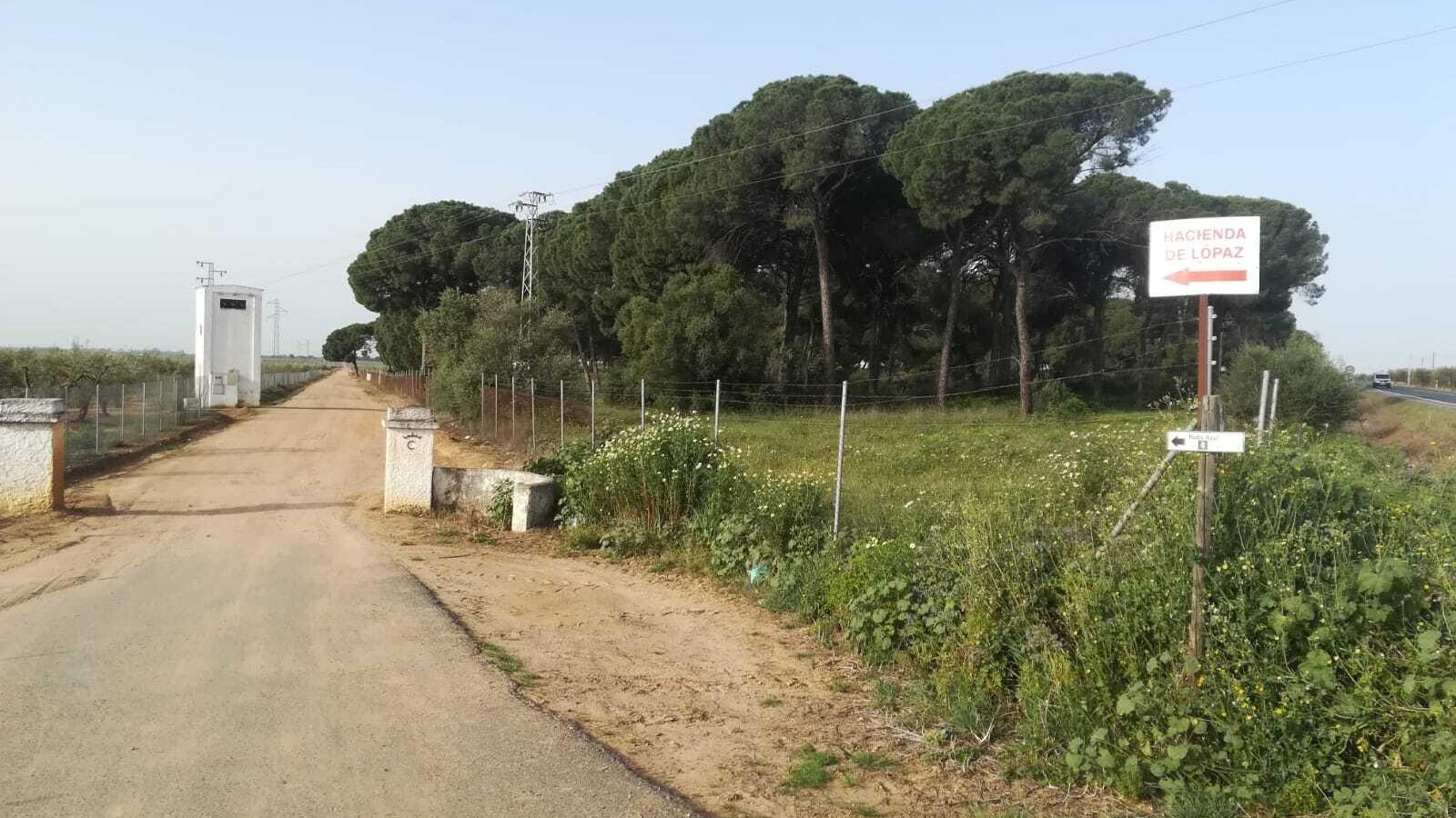 Fotos de la ruta Umbrete-Ermita de Cuatrovitas