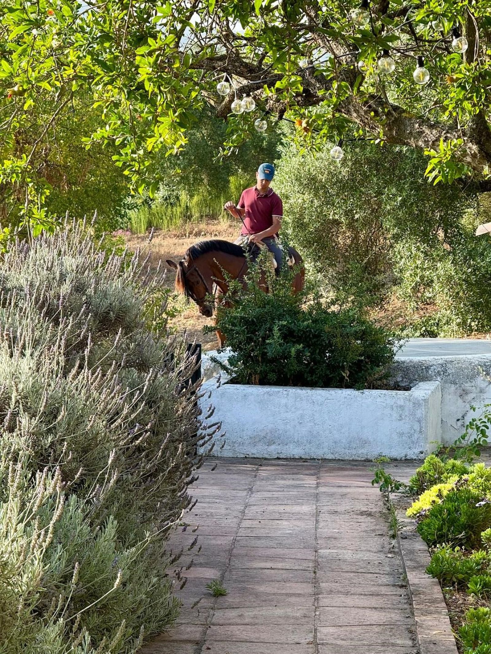Ramírez García-Peralta, en uno de sus caballos por los alrededores de la propiedad.jpg
