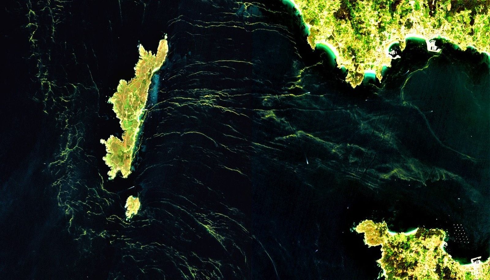 Imagen del Sentinel-2 donde se observan las floraciones de mareas rojas en las Rías Baixas.
