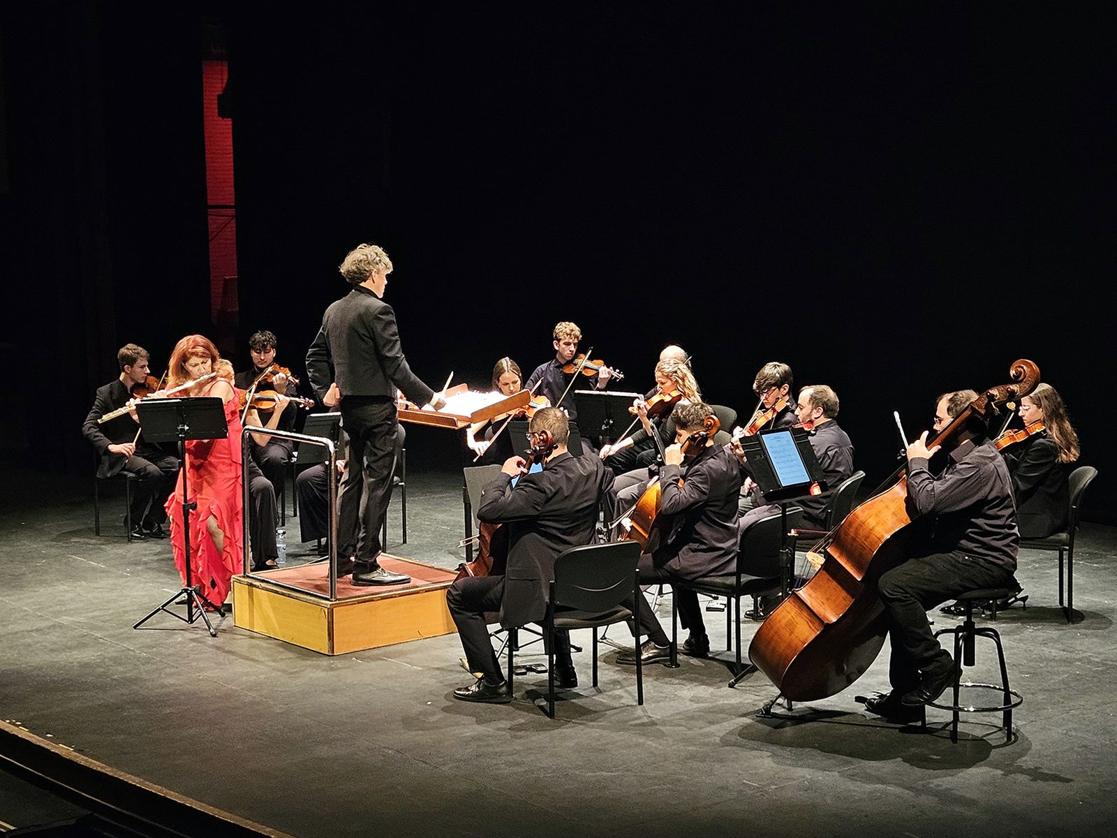 La Orquesta Diesis durante el concierto.