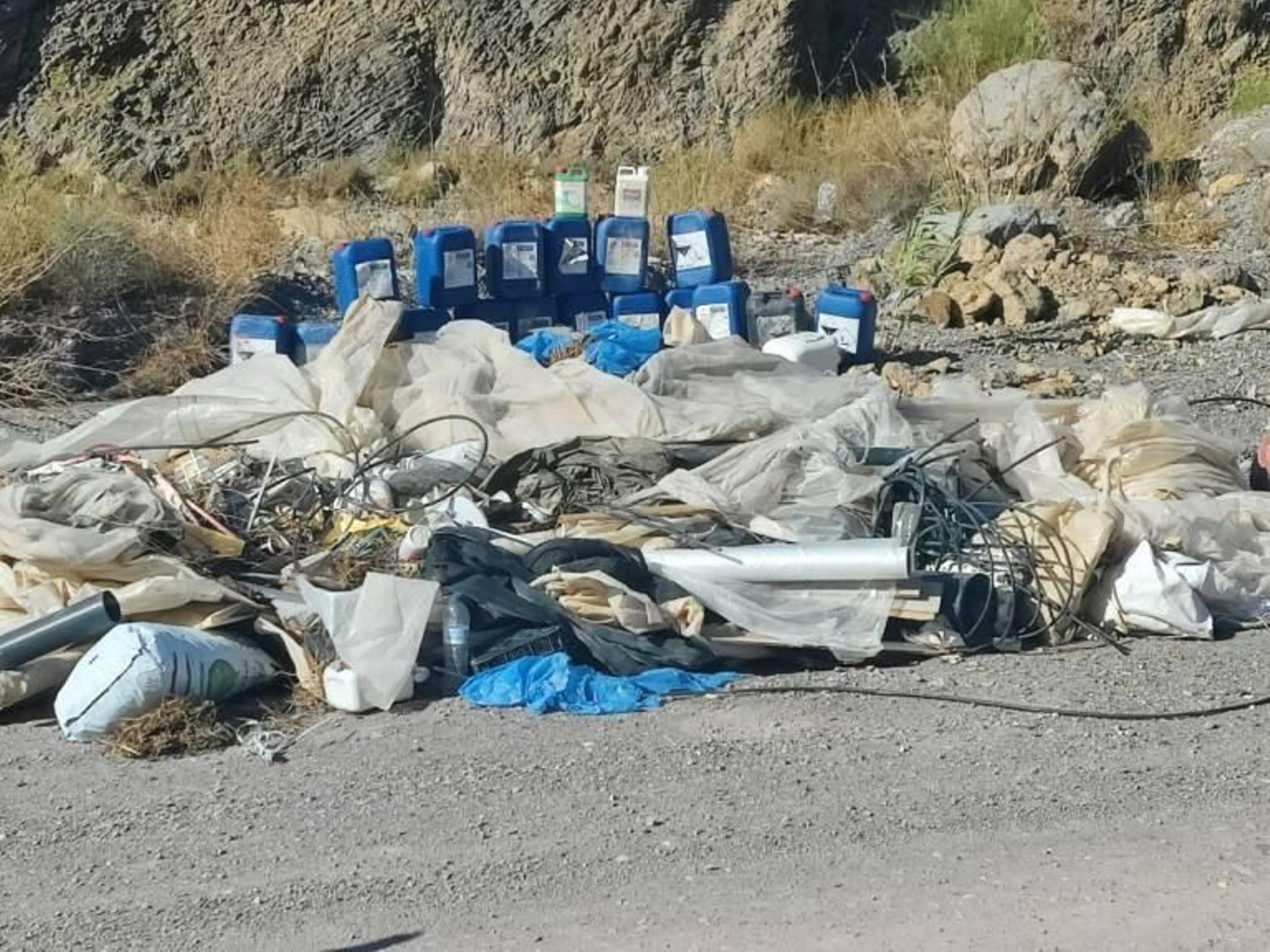 La organización ecologista ha organizado este hallazago ante el Seprona y los dos ayuntamientos