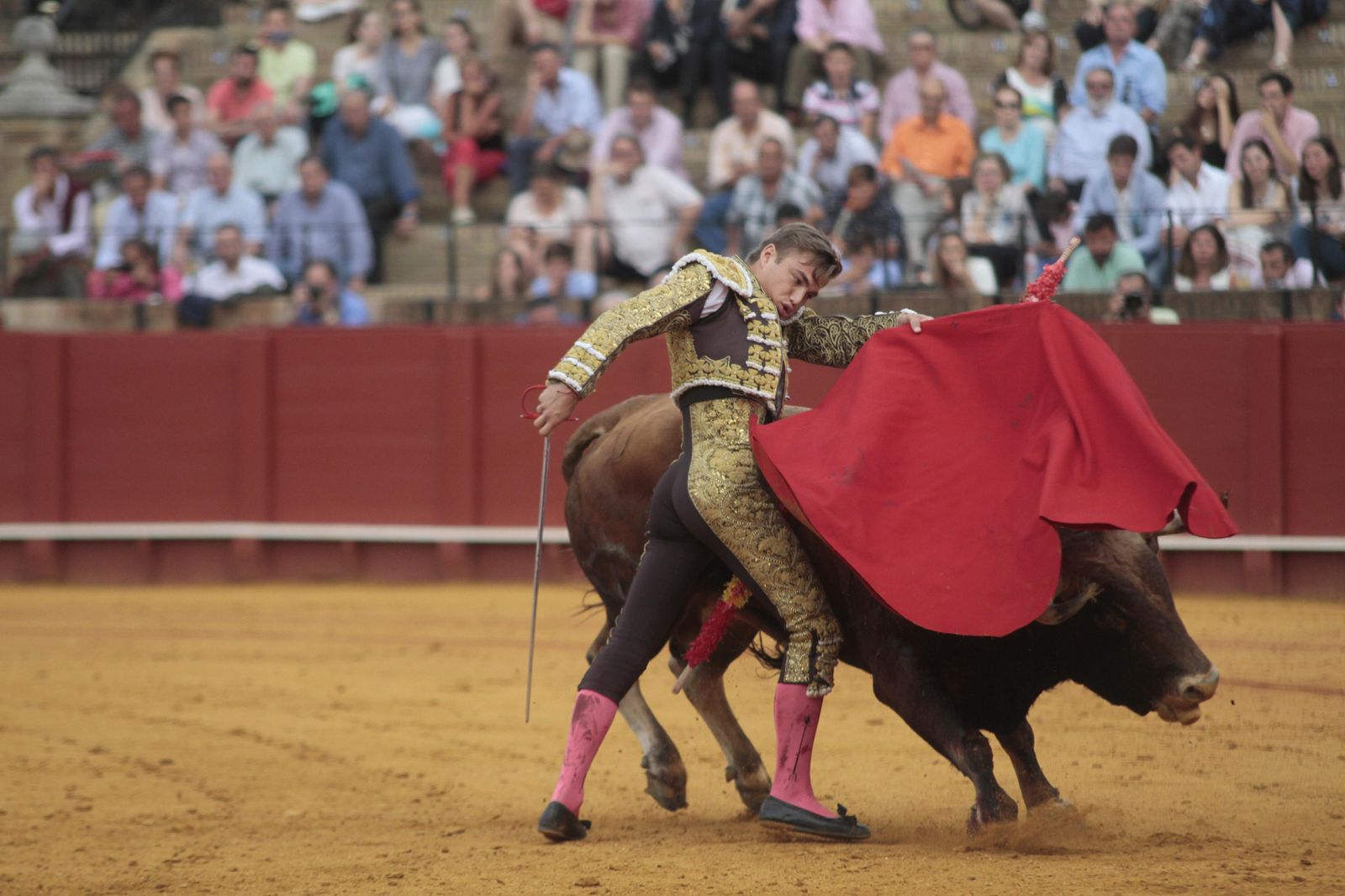 Las imágenes de la decimosexta de abono de La Maestranza
