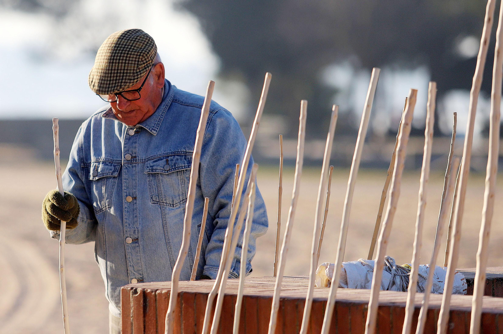 Imágenes del domingo 5 de febrero en Huelva