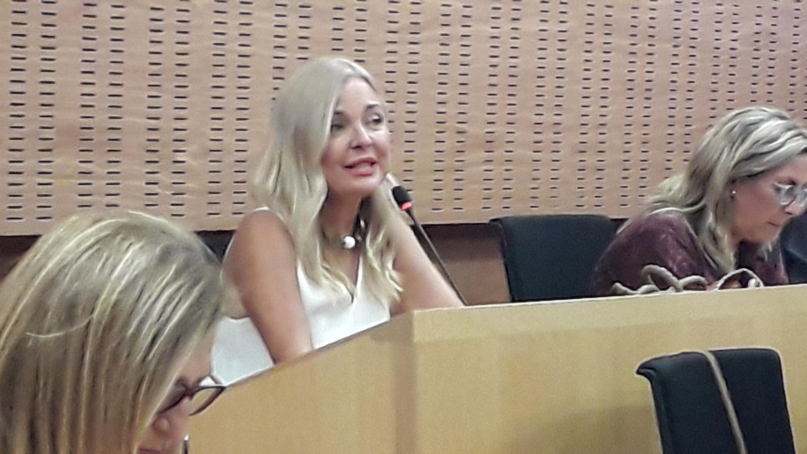 La edil Blanca Merino, esta tarde  en el pleno.