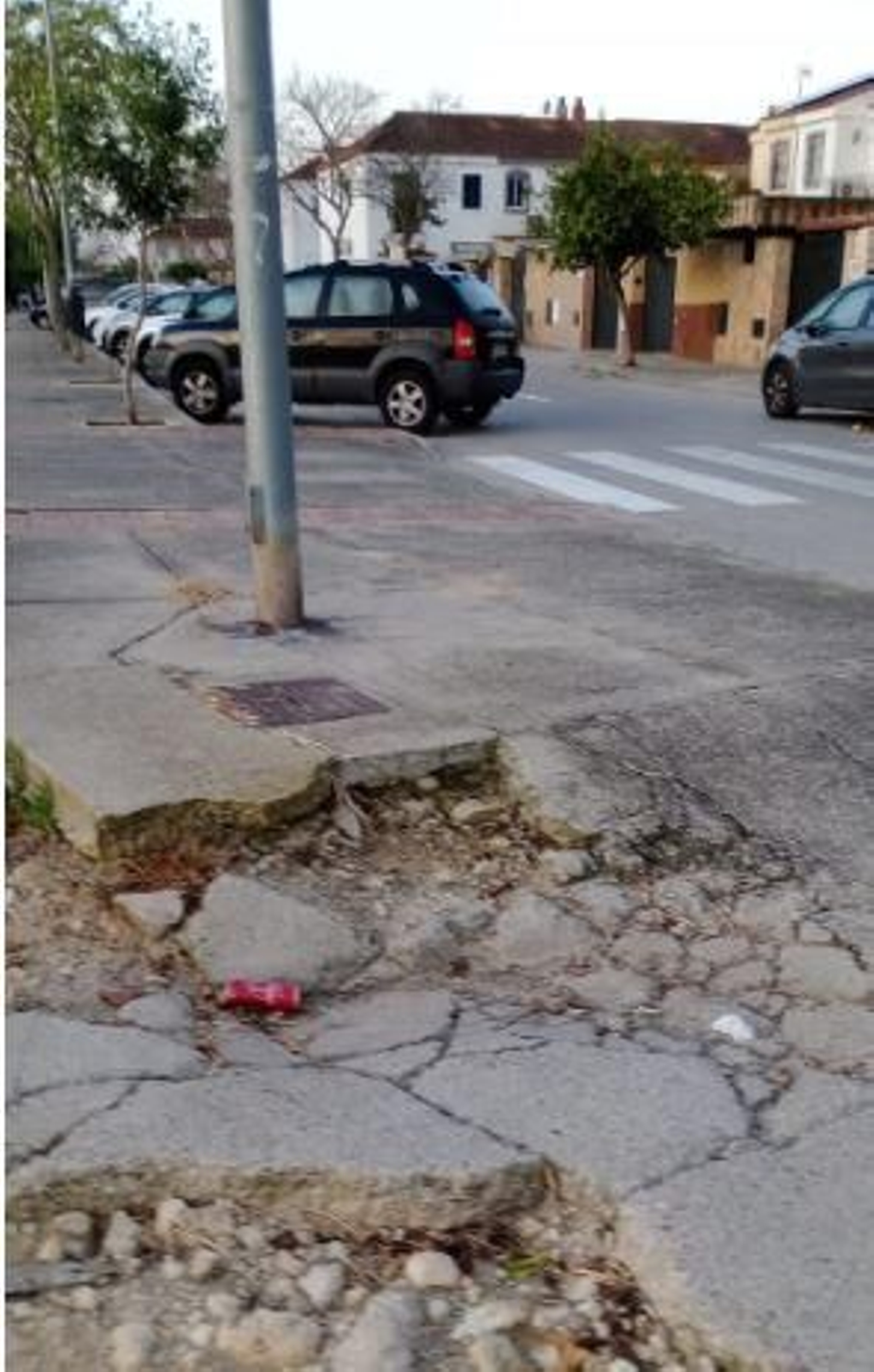 La asociación vecinal reclama un arreglo urgente del acerado.