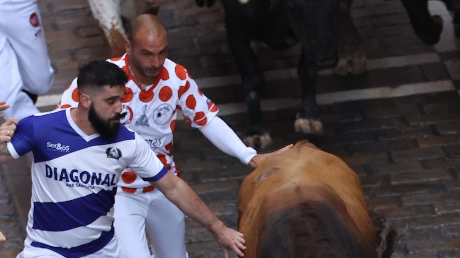 Las imágenes del encierro de los toros de Cebada Gago