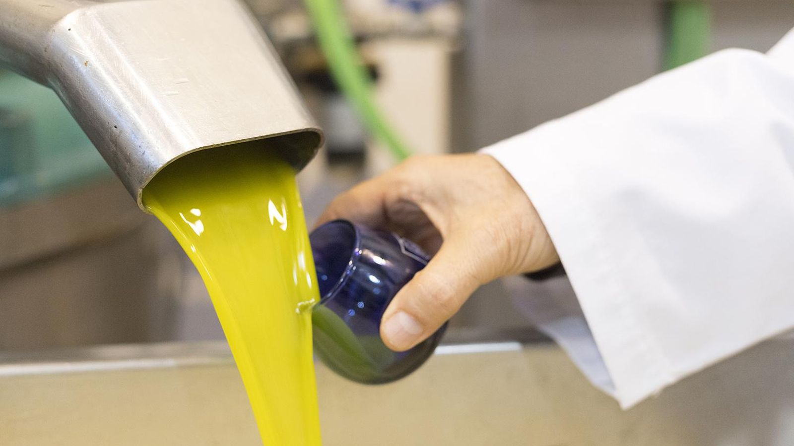 Tabernas tiene aceites de gran calidad.