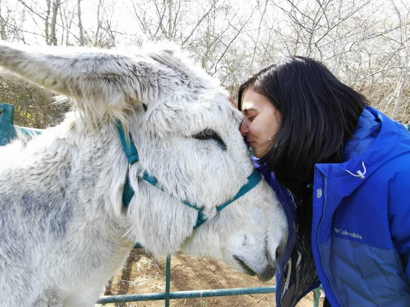 Pon un burrito en tu vida: un planazo en Huelva para disfrutar en familia
