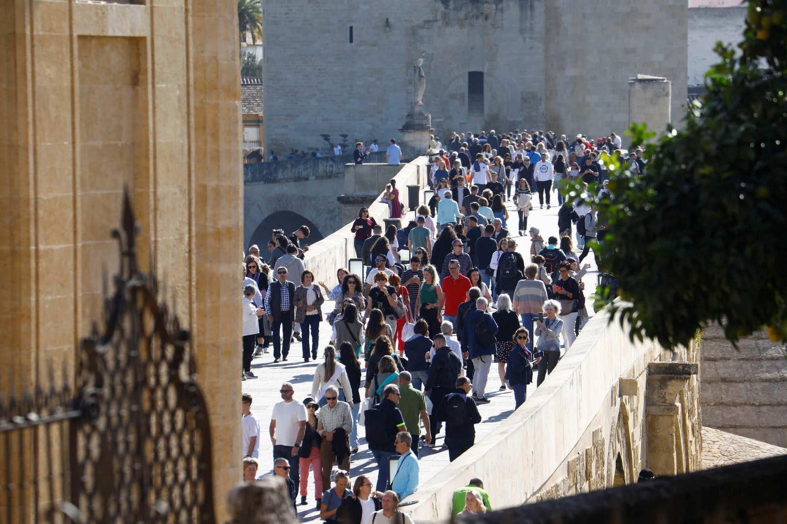 Centenares de personas caminan por el Puente Romano de Córdoba