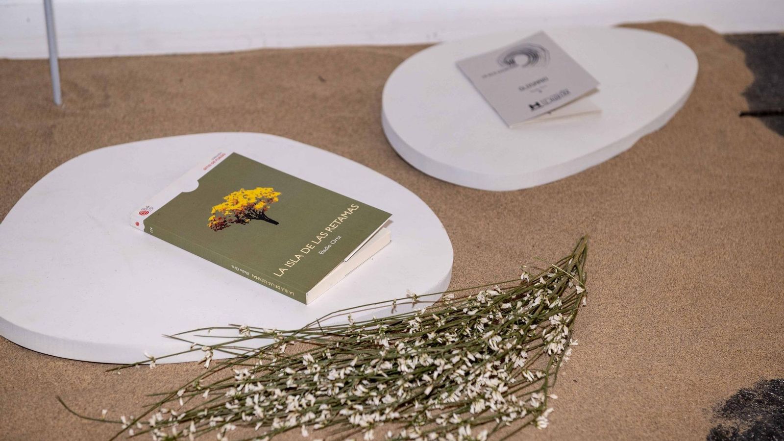 Isla Canela se desvela en ARCO como ‘La Isla encantada’