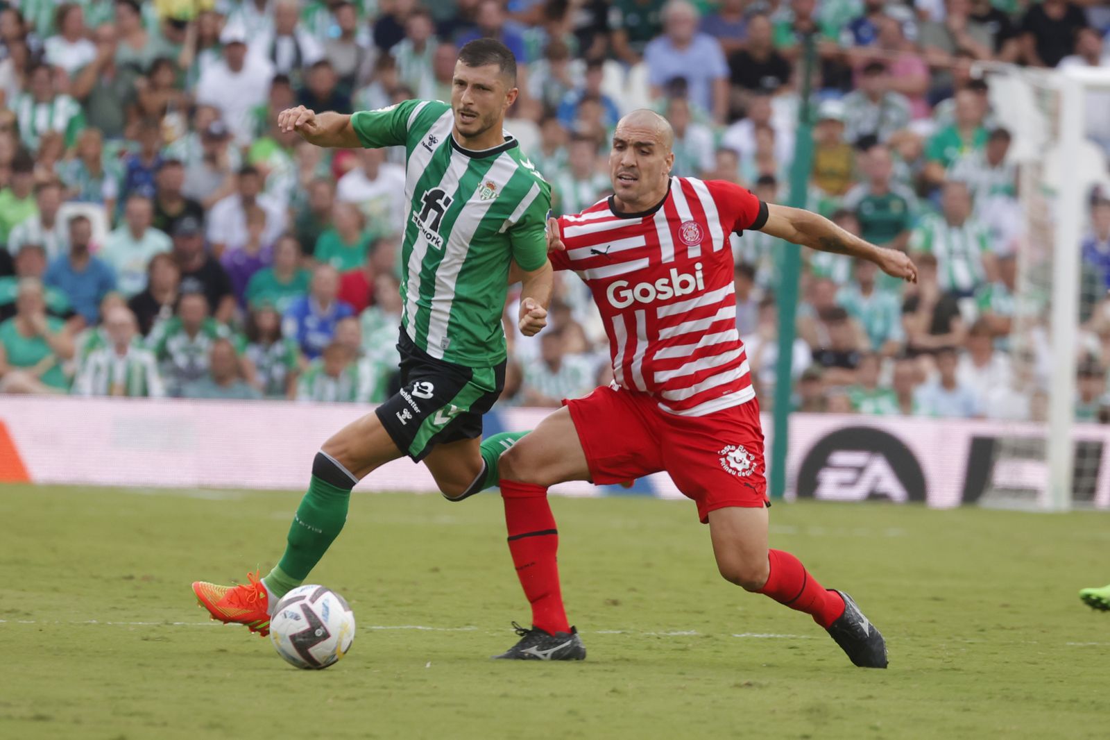Las imágenes del Betis - Girona