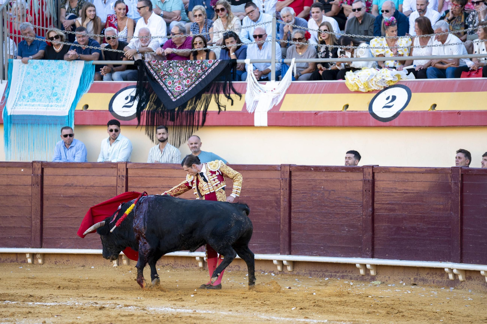 Las imágenes de los toros en Vera
