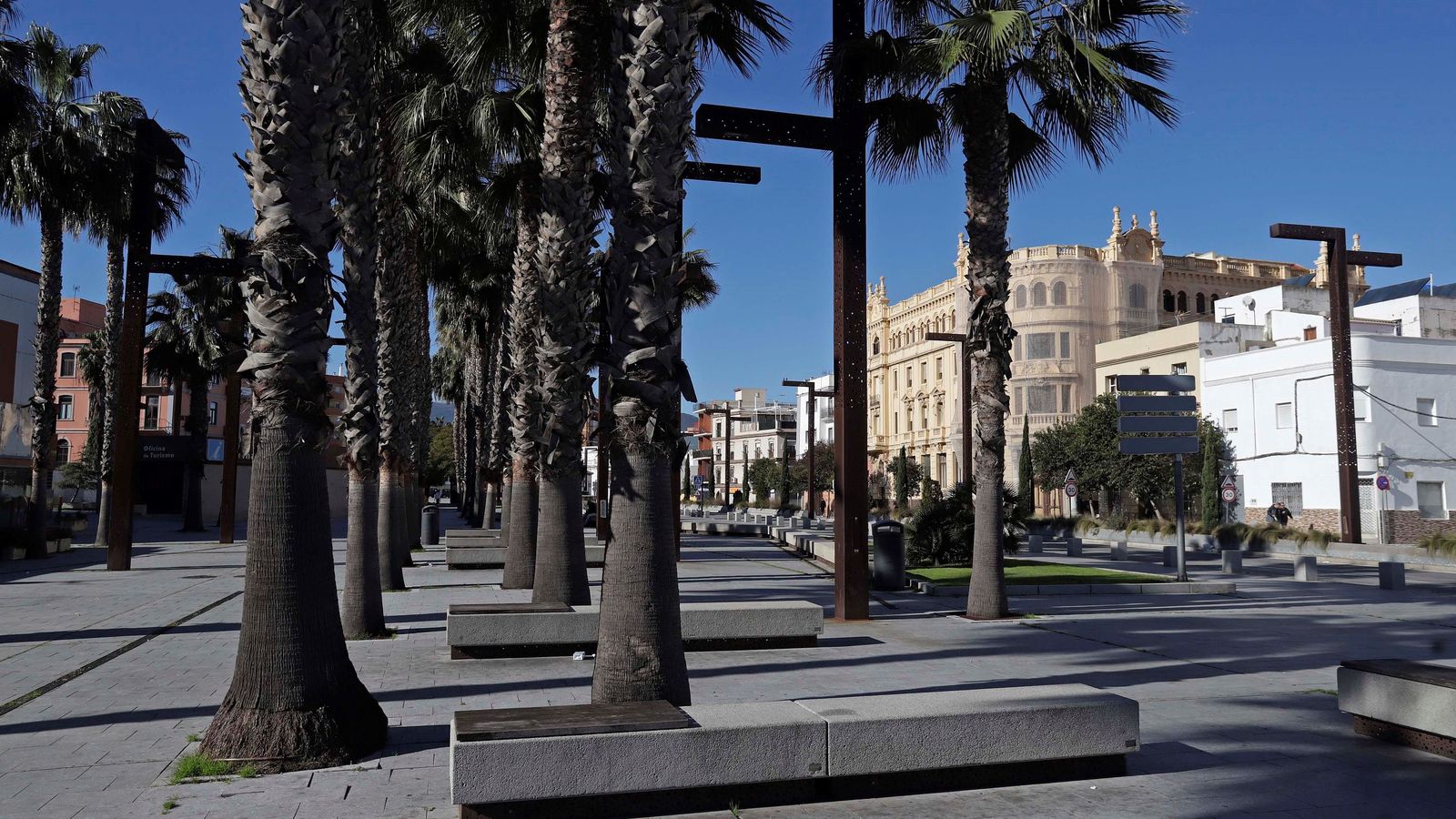 Vegetación y bancos en el paseo.
