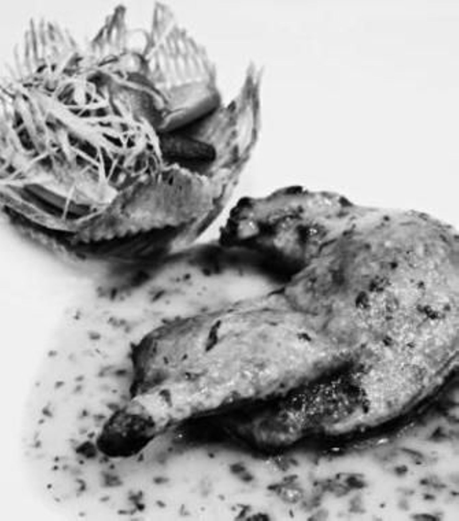 Pichón asado en leche con salsa de pan y perejil