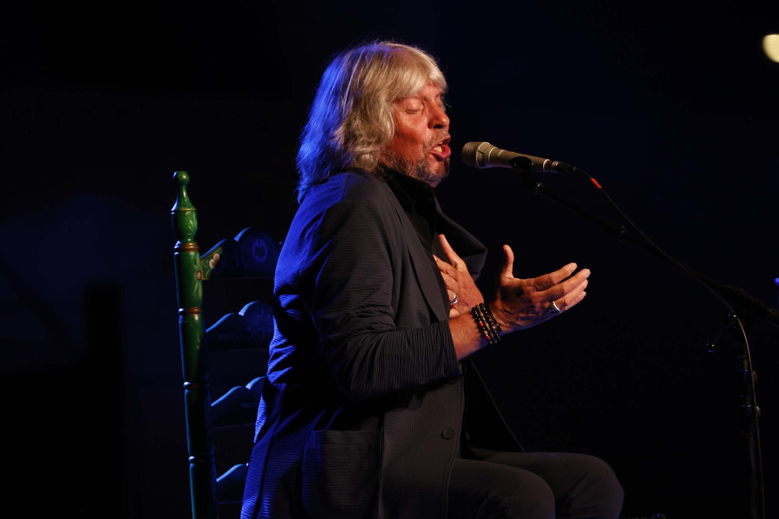 Fotos de la noche flamenca con José Mercé en La Línea