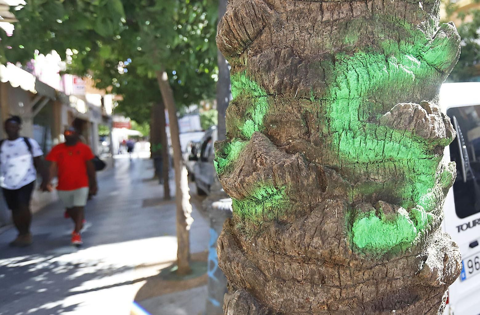 Imágenes del lunes 31 de julio, en Huelva