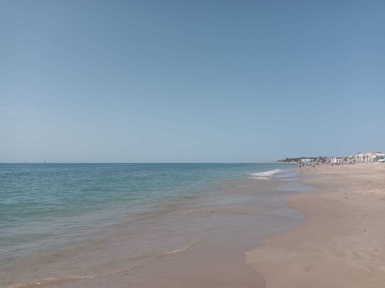 Primeramente se halló un cráneo