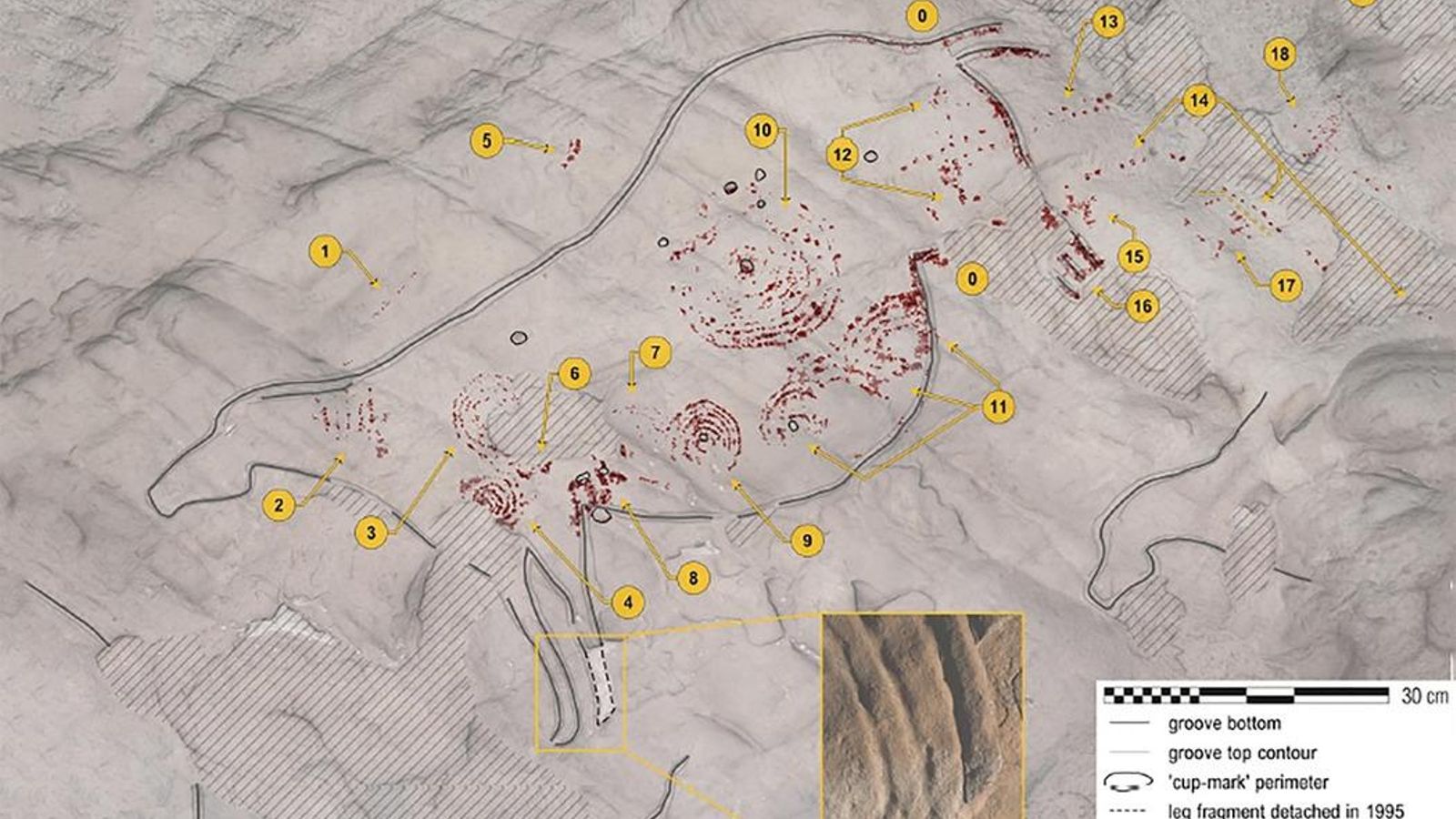 Calco de la yegua con los nuevos motivos pictóricos, equipo de la UNED.