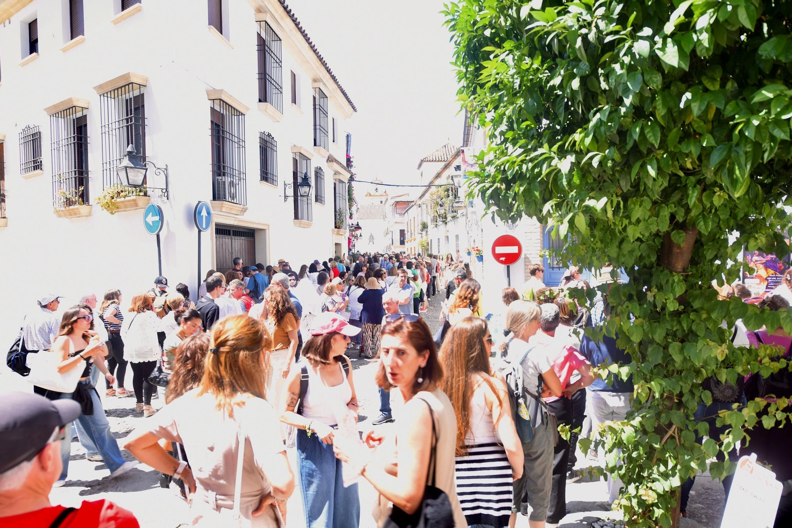 El último sábado de Patios de Córdoba en Alcázar Viejo, en imágenes
