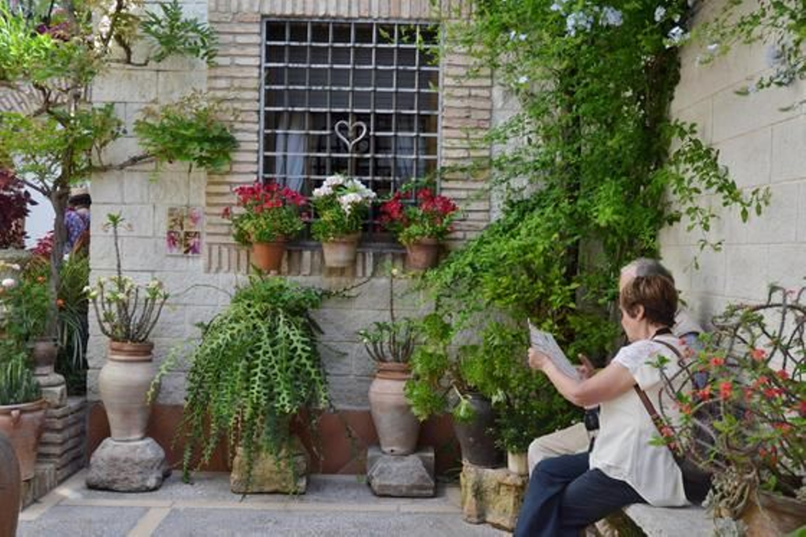 Aceite.

Foto: Alex Gallegos / Macarena Gassin