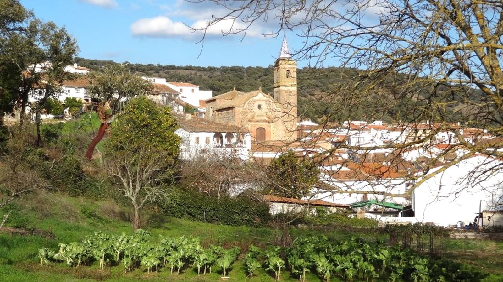 Iglesia parroquial Divino Salvador