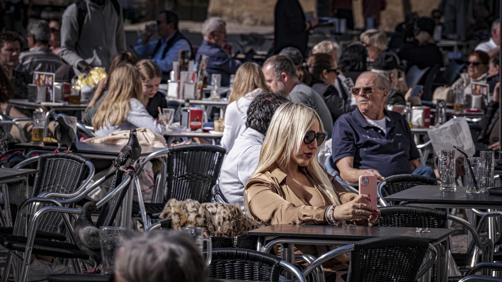 Clientes sentados en la terraza de un bar en Cádiz