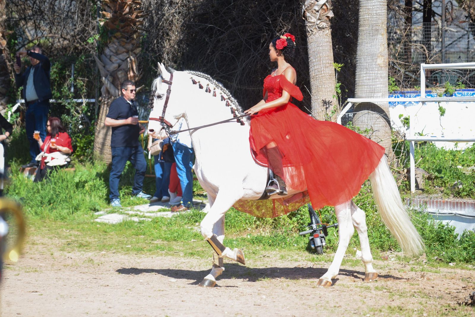Las mejores imágenes de la Marcha Hípica Córdoba a Caballo del 28F de 2026
