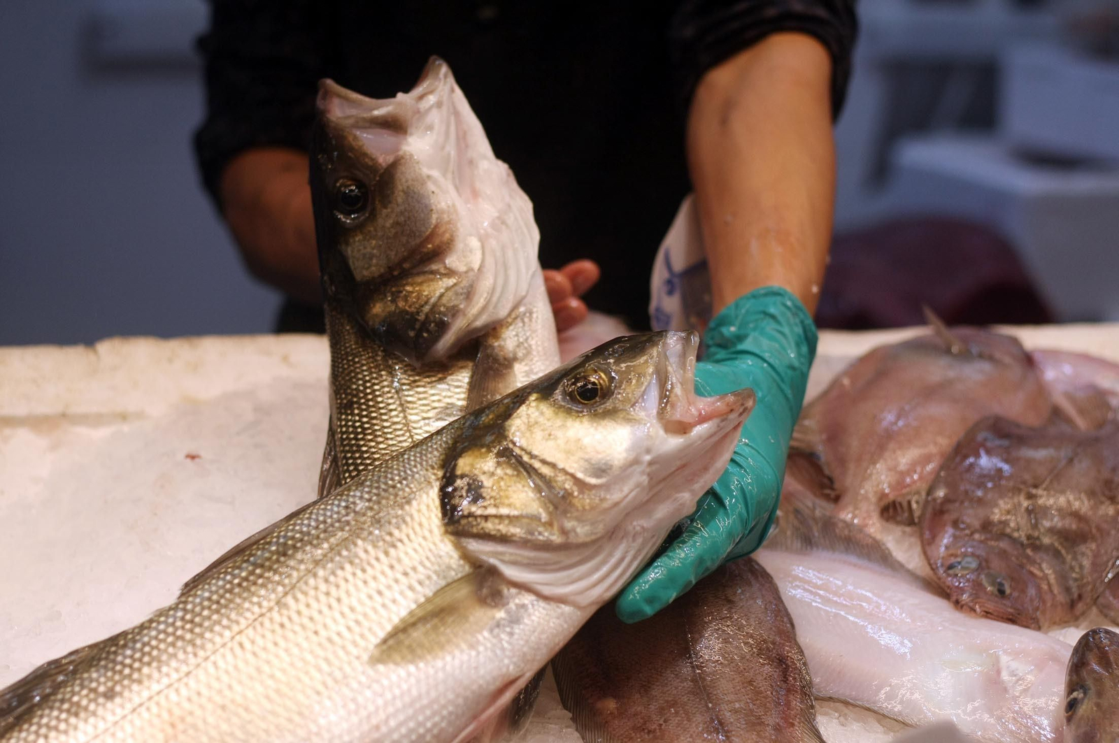 Imágenes del ambiente en el Mercado del Carmen de Huelva