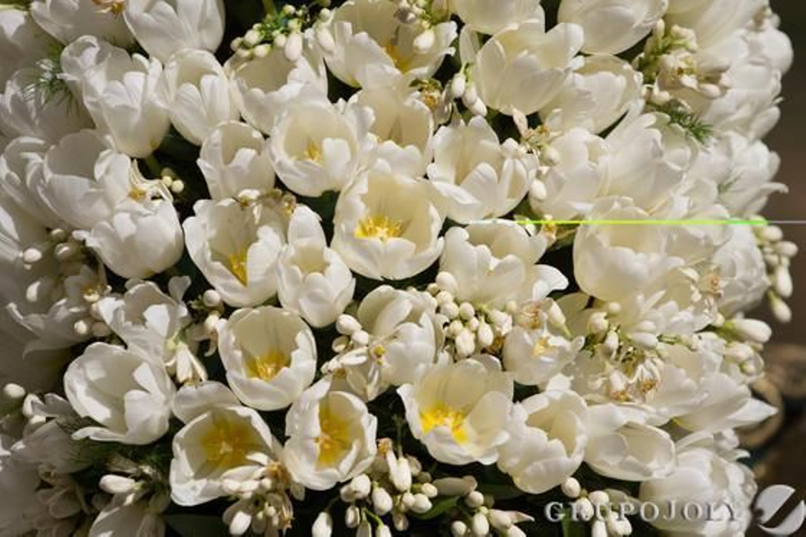 Foto: Victoria Hidalgo