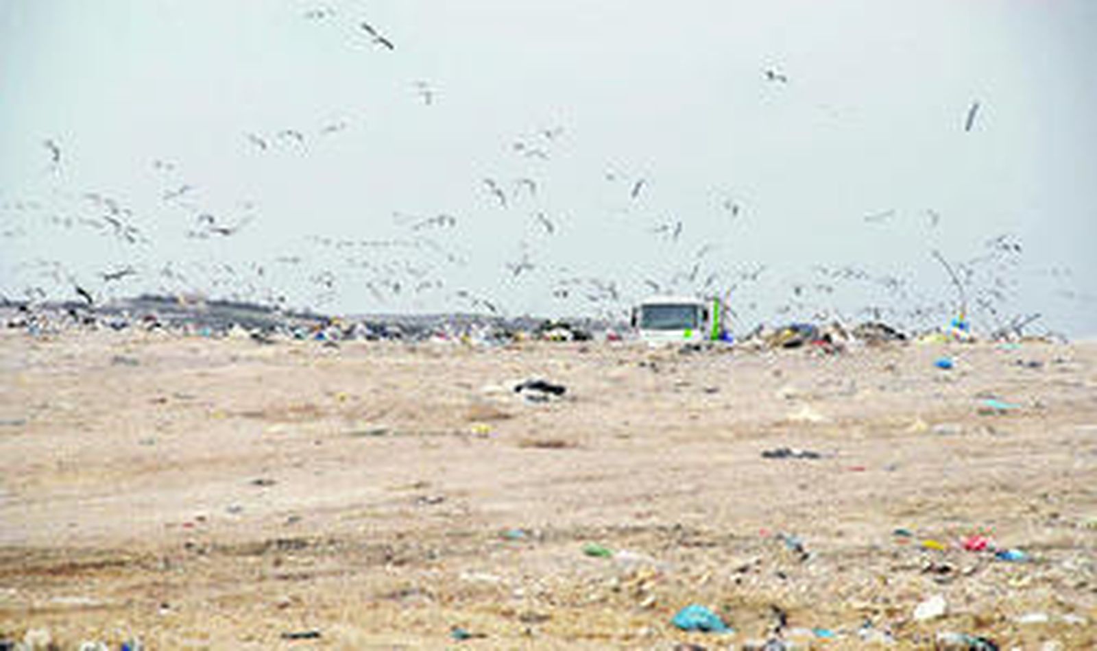 Vista de los terrenos de la finca La Victoria.