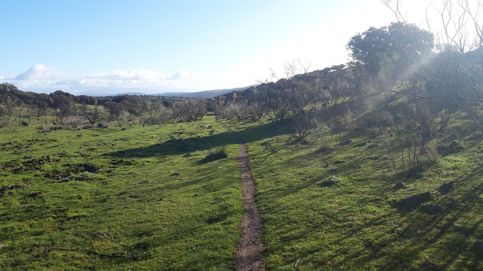 El sendero, pese a ser muy estrecho, no tiene pérdida.