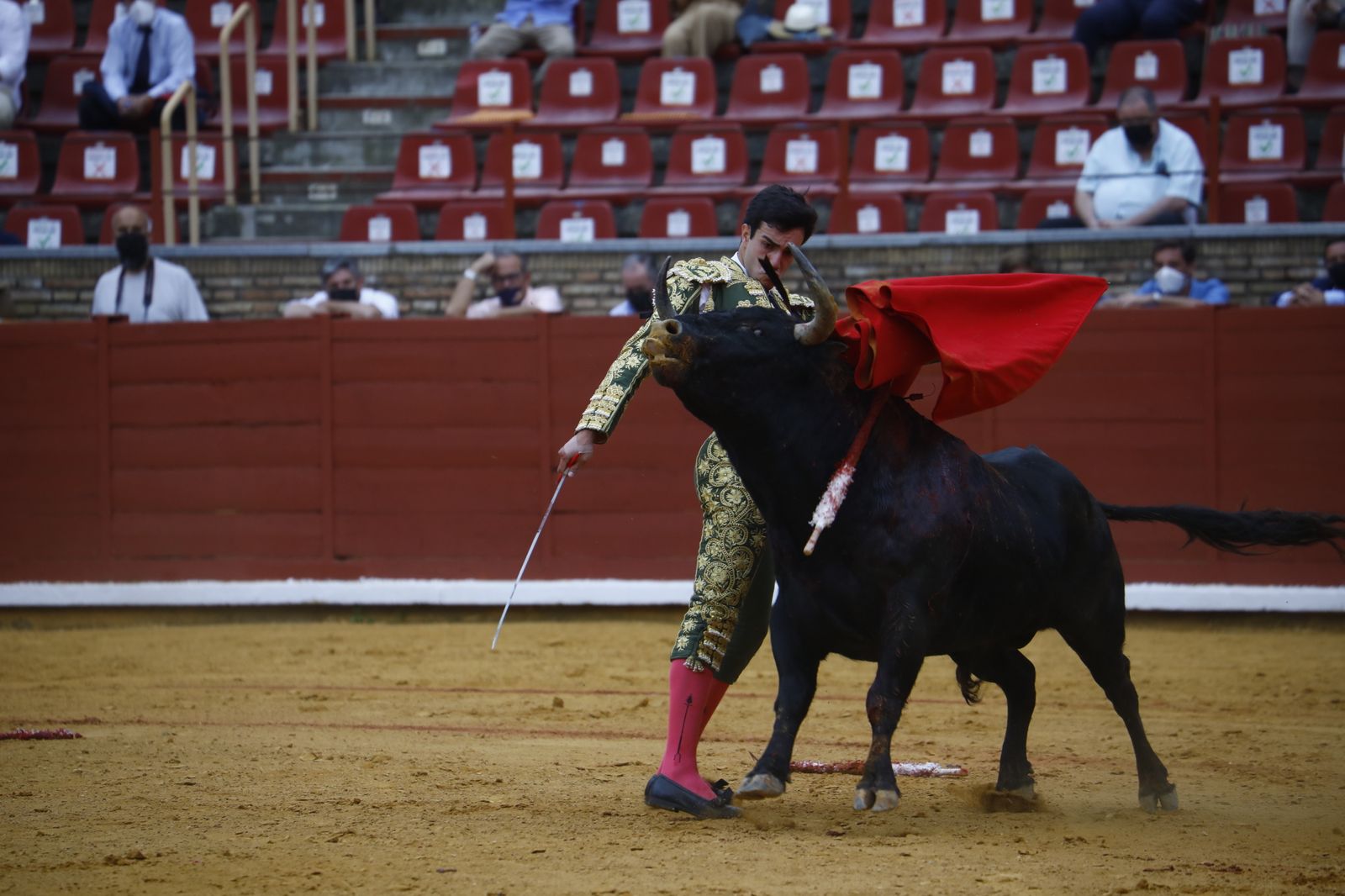 Las fotografías de la novillada con picadores de la Feria Taurina de Córdoba