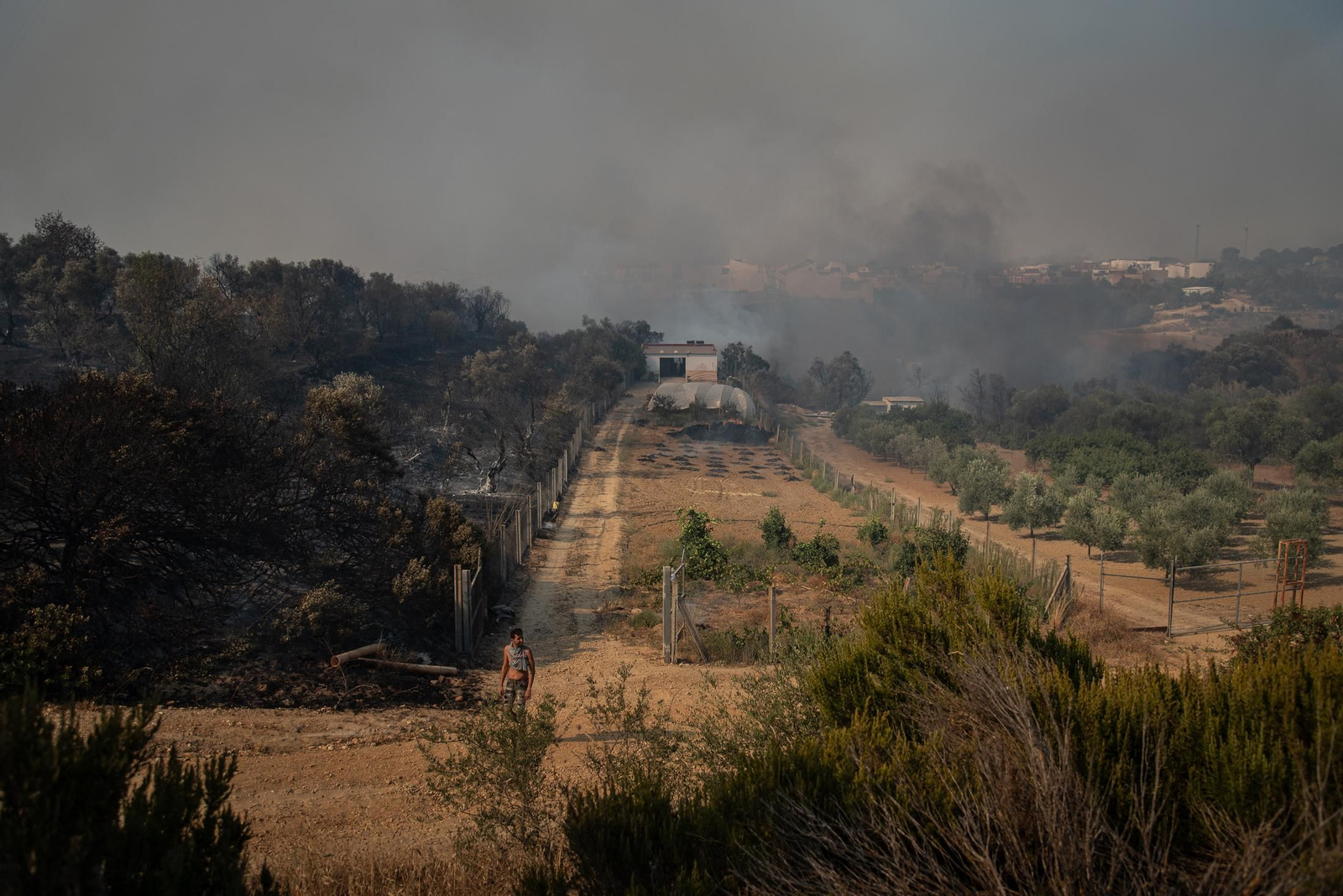 El incendio de Lucena del Puerto en imágenes