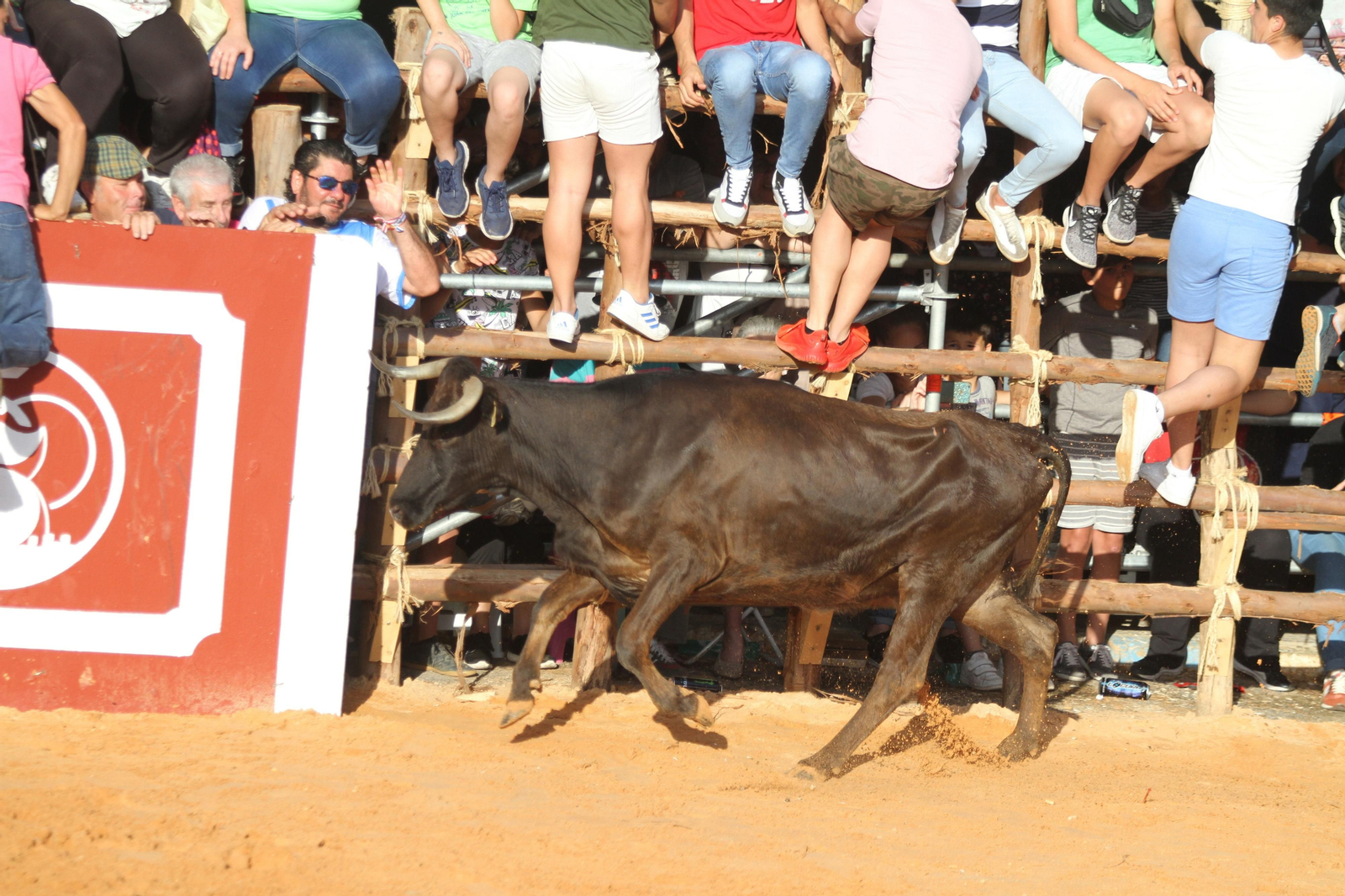 Comienzan las capeas en San Juan del Puerto