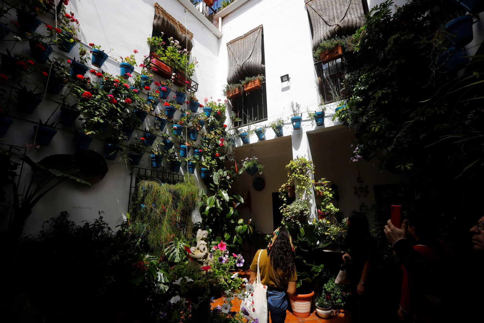 Los patios de Córdoba de la ruta Judería-San Francisco, en imágenes