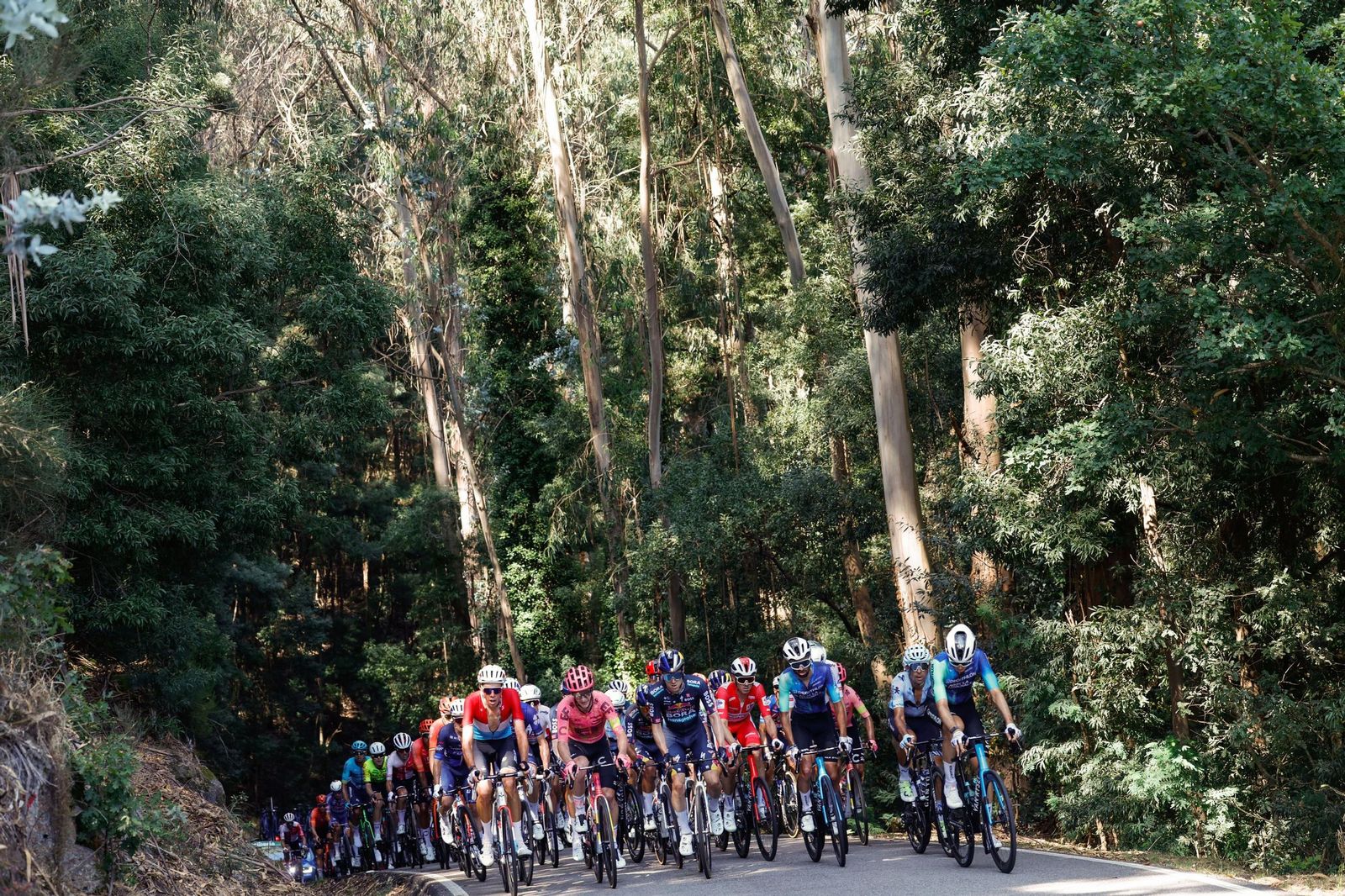Las mejores fotos de la Vuelta a España | Etapa 10