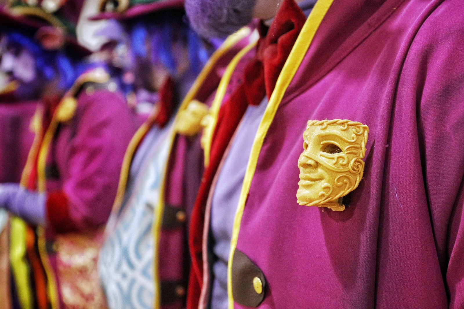 Comparsa Momosapiens