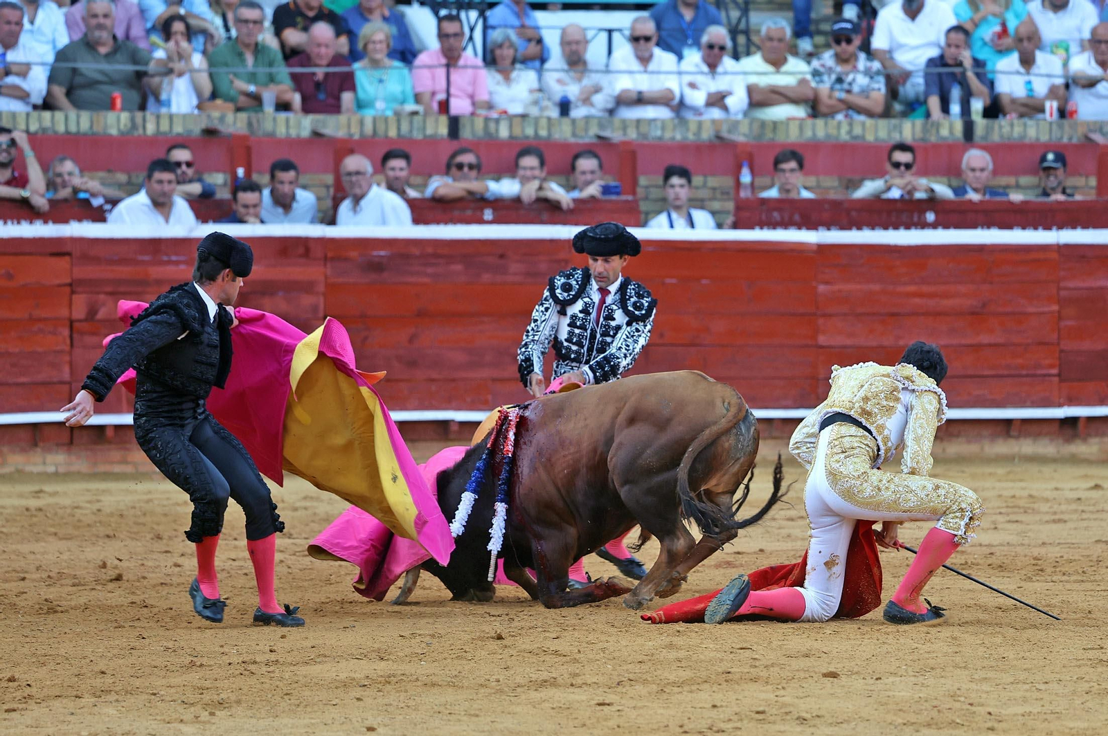Toros La Merced 2025: Imágenes de la Novillada de Javier Zulueta, Cristian González y Carlos Tirado