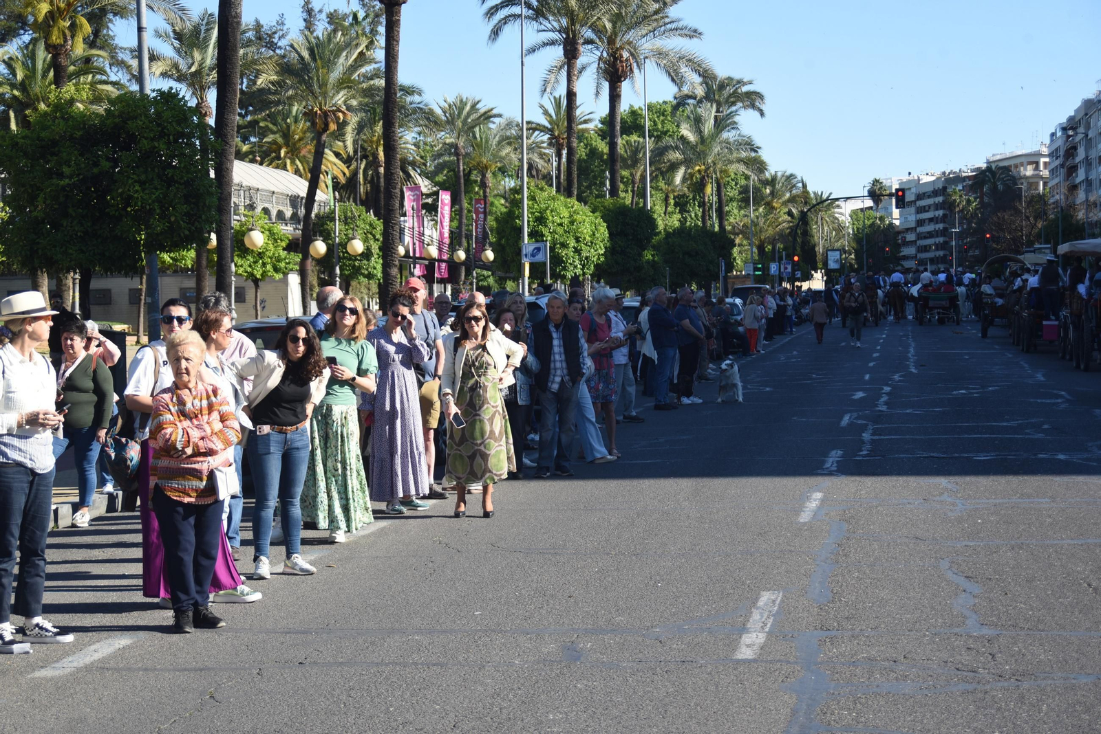 La Romería de Santo Domingo, en imágenes