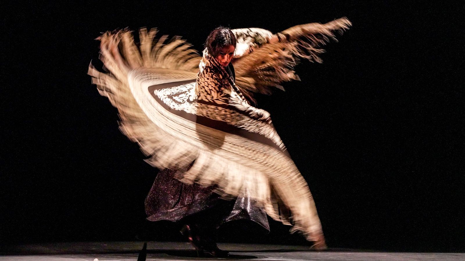 Imágenes de la Compañía de Belén López 'Latidos'