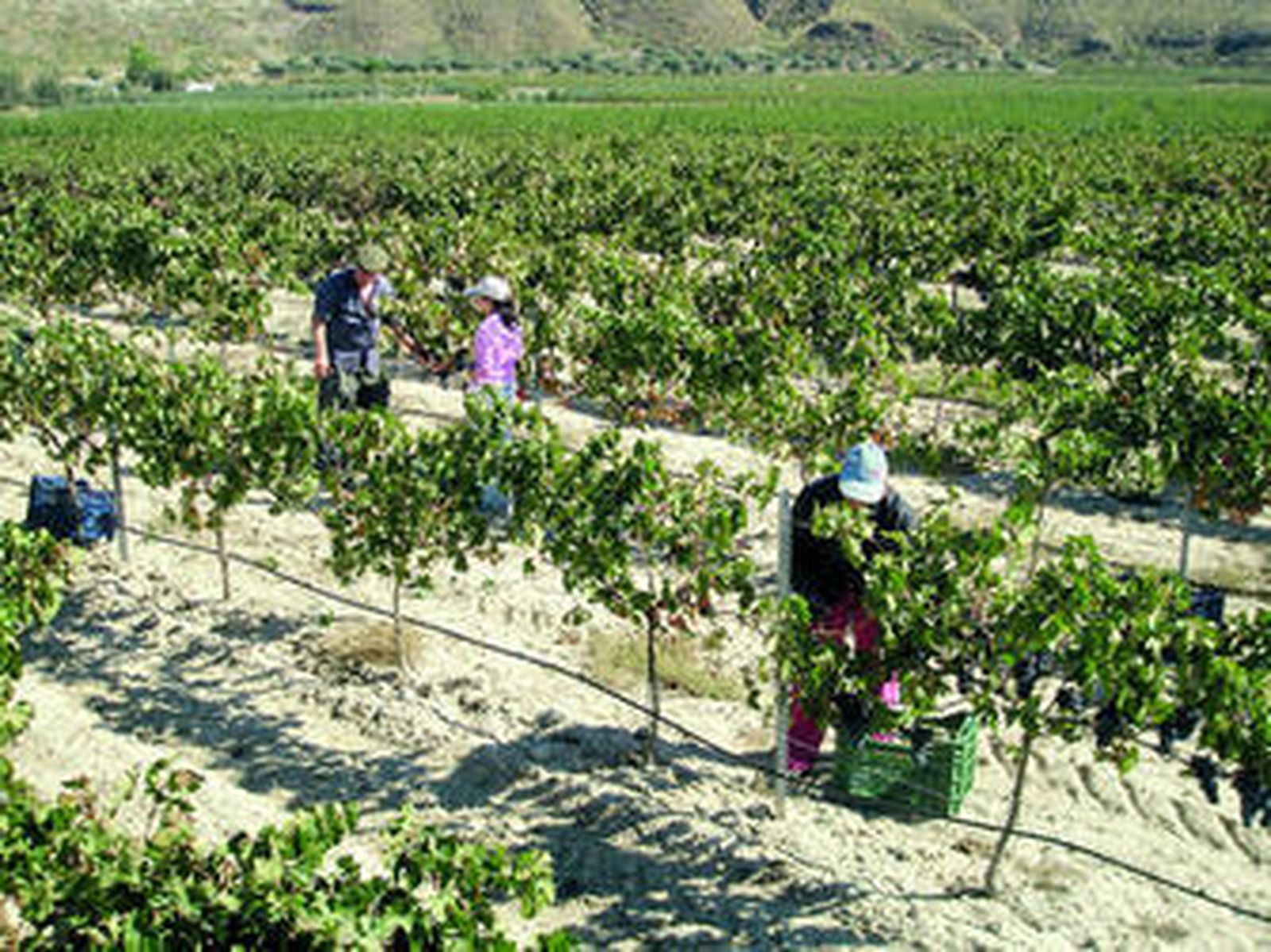 El Centro Comercial Gran Plaza de Roquetas, perteneciente a Eroski, posee 53.000 metros cuadrados.