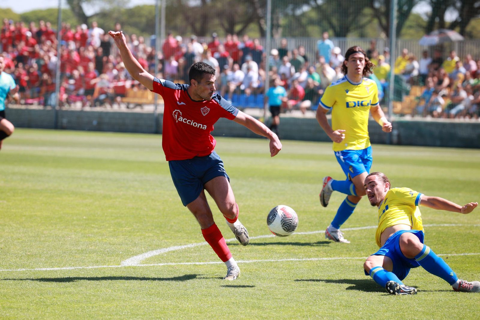 Las fotos del Cádiz C-Guadiaro, final del ascenso a División de Honor Andaluza