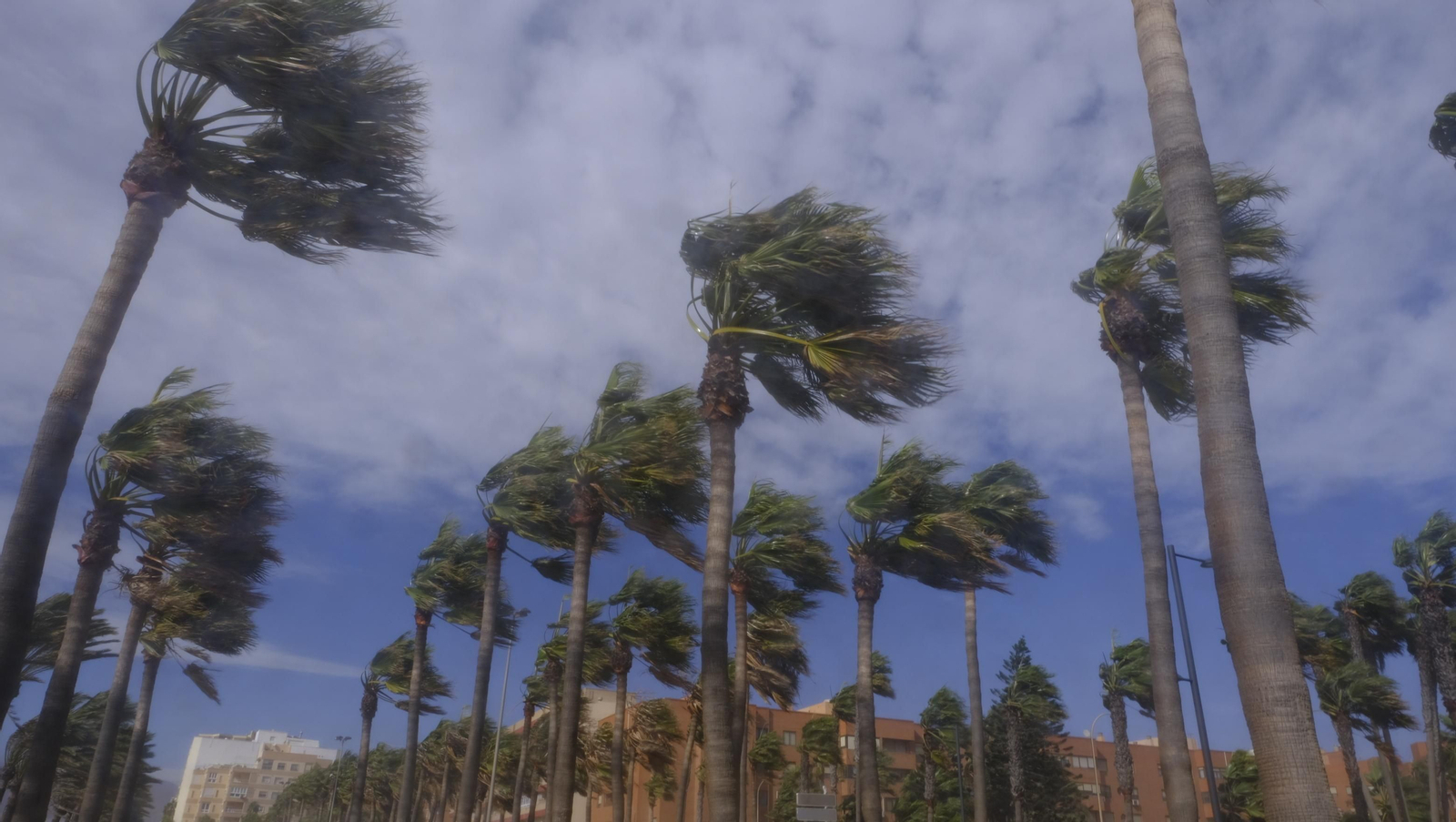 Imágenes del temporal de viento en Almería